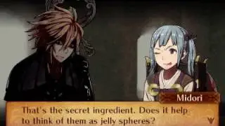 Fire Emblem Fates: Revelation - Dwyer and Midori Support Love Story