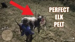 Red Dead Redemption 2 - Perfect Elk Pelt Location