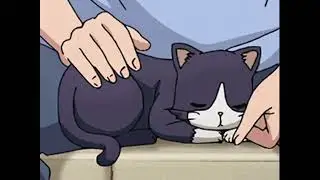 Lazy Cat