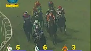 (103)The Astral Flash Plate winner Art O War