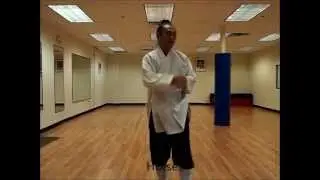 Xingyi Quan  12 Animal Sampler (Master Zhou Xuan Yun)形意拳 12形