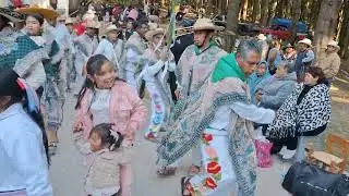 Honor a la Virgen de Guadalupe | Danza de Arrieros Hacienda San Pedro Ameyalco, Lerma | La Tablita