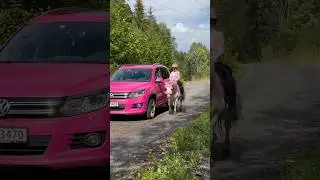 Me and my daughter🩷 #family #shorts #horse #car #pink