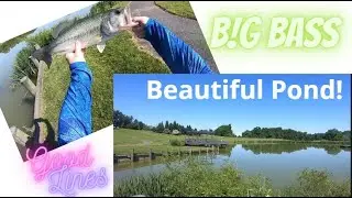 BIG Bass! Took me ALL day to find them but...