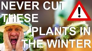 Never Cut, Prune or Trim these Plants in Winter