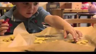 Little Bears Day Nursery Promotional Video