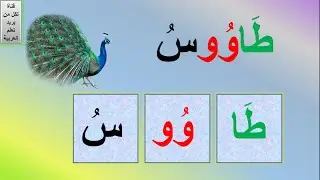 تحليل كلمات بها مد | كلمات بها مد بالواو | كلمات بها المد بالواو | تدريبات على المد بالواو