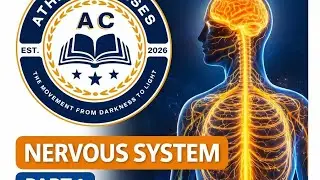 Nervous system in hindi ( तंत्रिका तंत्र ) part-1 