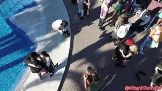Temptation Festival 2025 - Video 2