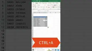How to use Filter in Excel? Excel Trick @eTrainerBox