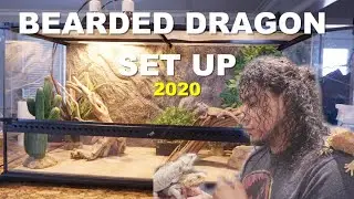 How To Set Up A Bearded Dragon Enclosure !! Super Easy Set Up