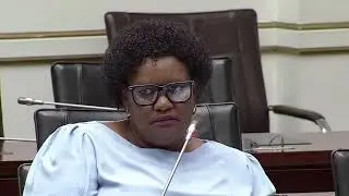 ANC's Sokanyile Asks Robert McBride About Paul O'Sullivan At The Ad-hoc Committee 