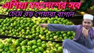 Best Vlog 2022 || #blog #trending #tawhidafridi  #nature #amazing #turest #bangladesh