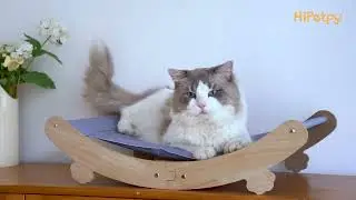 HiPetpy Cooling Cat Hammock Bed--5-Minute Setup!