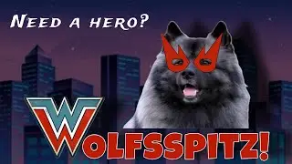 Deutscher Wolfsspitz: Der Held unter den Hunden