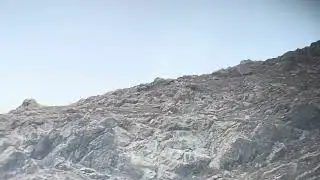 Ibex in Drass mushko valley. 