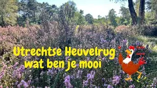 Vlog #120-23 langs de Lek naar Woudenberg #campingboerenerf #Amersfoort #zeist #Woudenberg