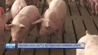 NC Farm Bureau, DEQ disagree over swine farm requirements