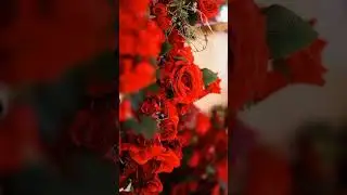 😍💫The Most Beautiful #barat  Decoration🥰❤️ #eventdecor #pakistaniwedding #decor#foryou 0312 4349516