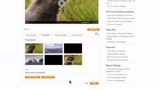 New Thumb Demo Video