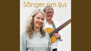 Som solen gl&ouml;der genom vinterdiset