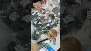 ROC iPhone Camera iPhone Charging PadROC iPhone Kamera iPhone Y&uuml;kleme Pad#unboxing#youtube #housing