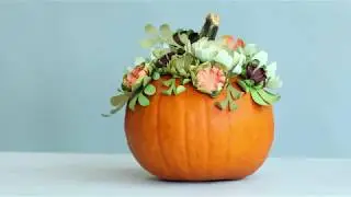 How to Decorate A Pumpkin Without Carving It