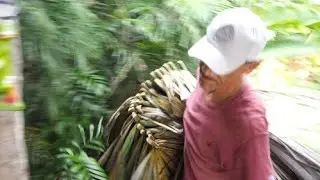 Julb'e'en - Eine ethnographische Dokumentation des Dachdeckens nach Maya-Tradition