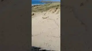 Perranporth bech. UK. Cornwall.