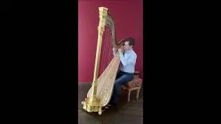 Gabriel's Oboe - Harp Cover (The Mission)