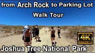 4K Joshua Tree - Walk from Arch Rock to the Parking Lot - Trail Hiking - Virtual Walking Tour