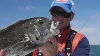 How to Catch Tautog with the Hogy Utility Rig