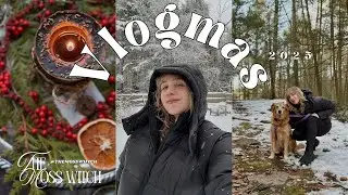VLOGMAS in the Woods