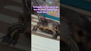 grab a Turtle Town News T-shirt for your favorite person #animals