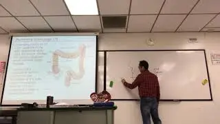 FA18 BIOL431 Lecture 27 part 2