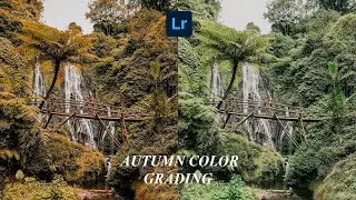Autumn Color Effect | Lightroom Free Preset