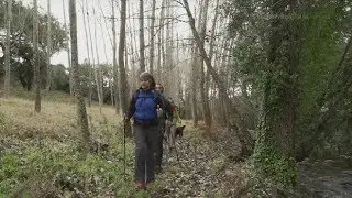 El Repilado y Los Romeros, Jabugo. Huelva