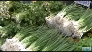 Healthy Tissue Protected From Radiation Damage with Cabbage Compound
