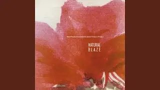 Afro-Groove