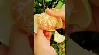 Pakistani orange 🍊 #fruit