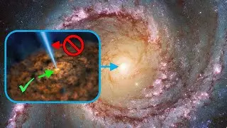 Seyfert Galaxies: Structure, Classification, and Astrophysical Significance