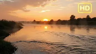 Calm River Sunset Loop | Relaxing Water Sounds for Sleep, Study & Peaceful Focus