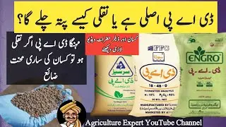 How to Check DAP is Fake or Original | Fake Vs Real DAP |Agriculture Expert