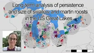 Long-term analysis of persistence and size of swallow and martin roosts in the US Great Lakes