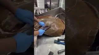 Most big stingray(pari)fish cutting Amazing skill#shorts