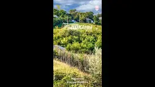 🟢🎥 🔟.Malin&oacute;vca. Riscani Moldova(TVV)🍇 #Рышканы #NagorjaN