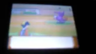 Pokemon Heart Gold Shiny Honckrow Spotted!
