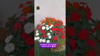 QUANDO AS FLORES VIRAM ARTE 🌸🥰 @QueHistoriaeEssaMax