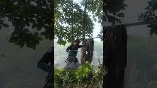 Telapia Fishing By Arif | Tanvirific