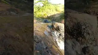 Hidden River Sounds in Nature  | Peaceful Background